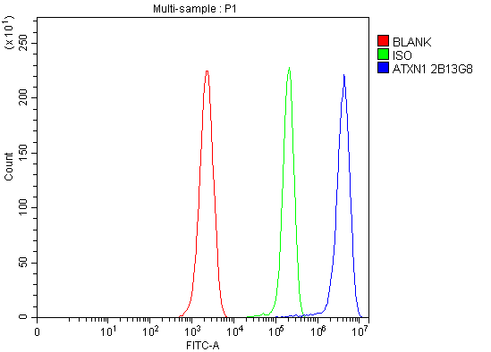 1 - Anti-Ataxin 1 Antibody Picoband™ (monoclonal, 2B13G8) ABO16583