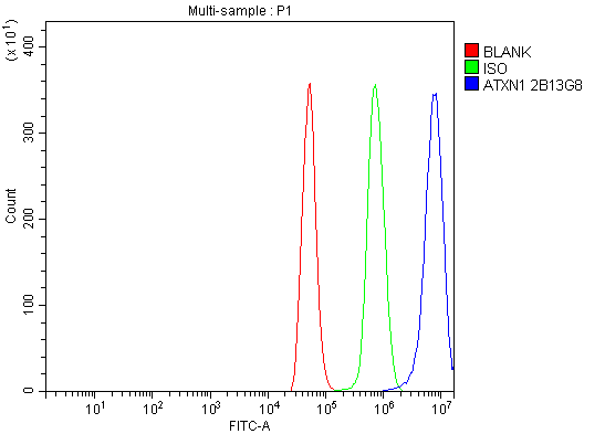 1 - Anti-Ataxin 1 Antibody Picoband™ (monoclonal, 2B13G8) ABO16583