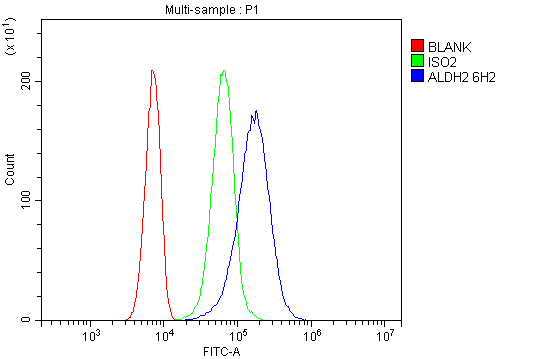 1 - Anti-ALDH2 Antibody Picoband™(monoclonal, 6H2) ABO16588