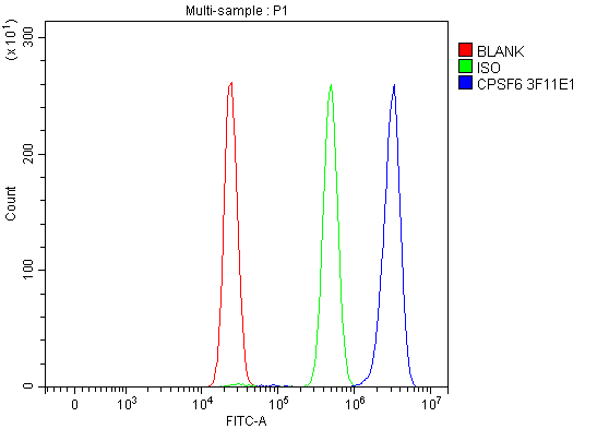 1 - Anti-CPSF6 Antibody Picoband™ (monoclonal, 3F11E1) ABO16592