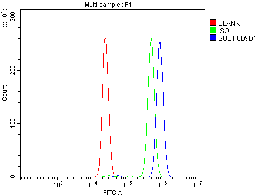 1 - Anti-PC4/SUB1 Antibody Picoband™ (monoclonal, 8D9D1) ABO16597