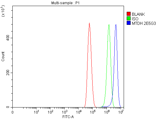 1 - Anti-LYRIC Antibody Picoband™ (monoclonal, 2E5G3) ABO16601