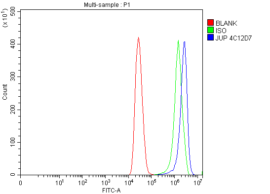 1 - Anti-gamma Catenin Antibody Picoband™ (monoclonal, 4C12D7) ABO16603