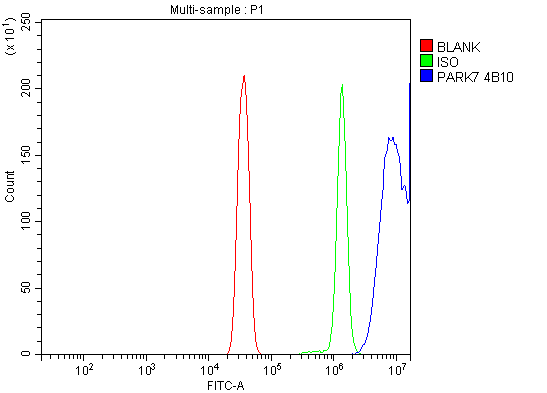 1 - Anti-PARK7/DJ1 Antibody Picoband™ (monoclonal, 4B10) ABO16610