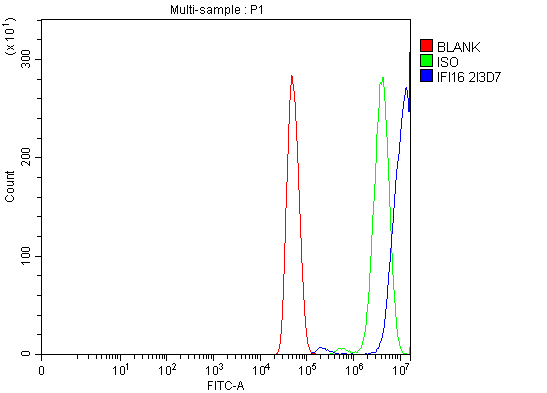 3 - Anti-IFI16 Antibody Picoband™ (monoclonal, 2I3D7) ABO16612