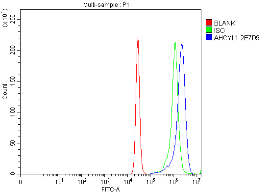 1 - Anti-IRBIT/AHCYL1 Antibody Picoband™ (monoclonal, 2E7D9) ABO16613