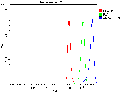 1 - Anti-Annexin A1/ANXA1 Antibody Picoband™ (monoclonal, 6B7F8) ABO16616