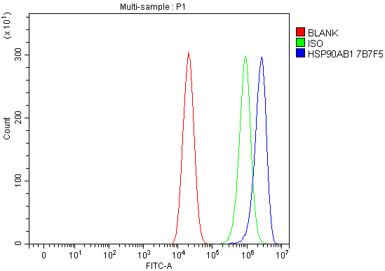 1 - Anti-Hsp90 beta/HSP90AB1 Antibody Picoband™ (monoclonal, 7B7F5) ABO16618