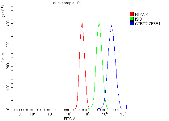 1 - Anti-CTBP2 Antibody Picoband™ (monoclonal, 7F3E1) ABO16619