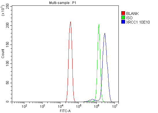 1 - Anti-XRCC1 Antibody Picoband™ (monoclonal, 10E10) ABO16621