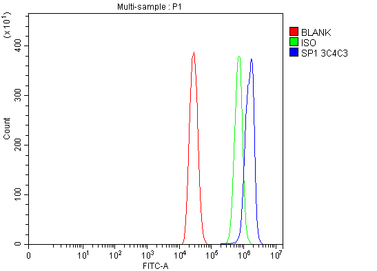 1 - Anti-SP1 Antibody Picoband™ (monoclonal, 3C4C3) ABO16623