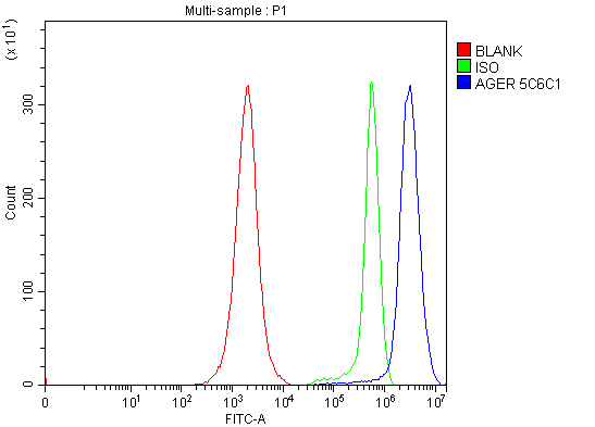 1 - Anti-RAGE/AGER Antibody Picoband™ (monoclonal, 5C6C1) ABO16627