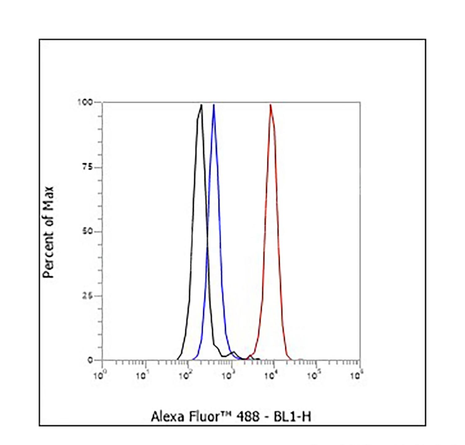 4 - Sialoadhesin/CD169 Rabbit mAb AP96154