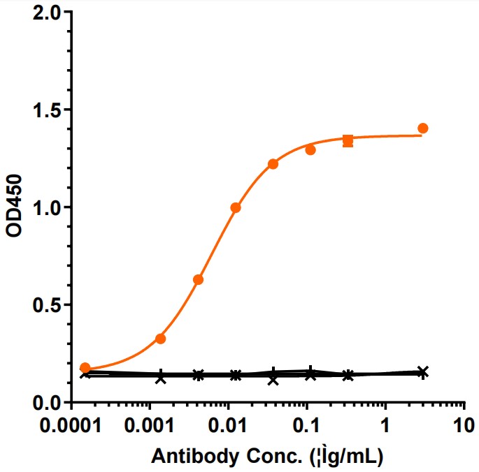 0 - Anti-Spike RBD Reference Antibody (Imdevimab) APR10003