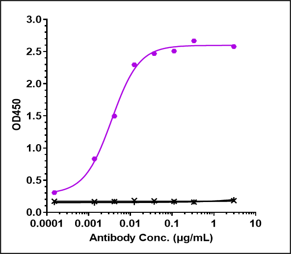 0 - Anti-Amyloid Beta Reference Antibody (lecanemab) APR10010