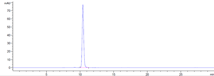 0 - Anti-SIRPg / CD172g Reference Antibody (KWAR23) APR10072