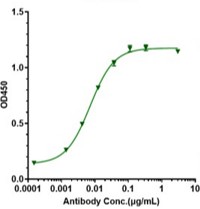 0 - Anti-ERBB1 / EGFR / HER1 Reference Antibody (Cetuximab-MMAE) APR10111