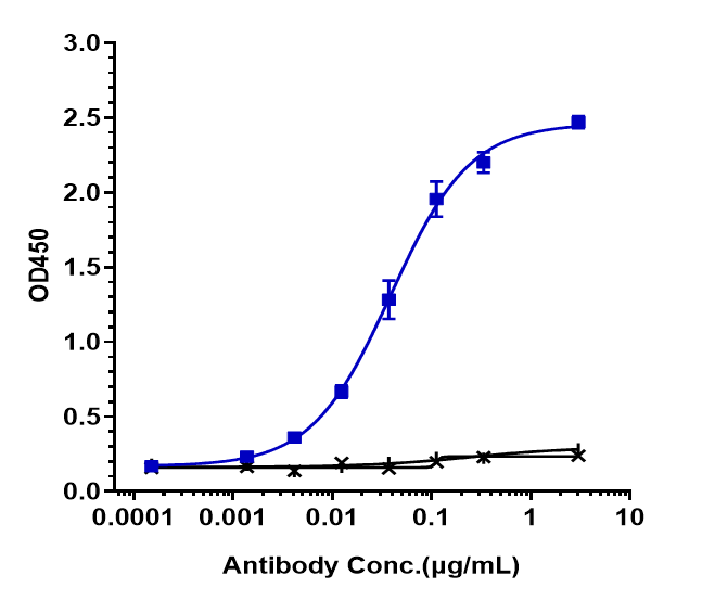 0 - Anti-LOXL2 Reference Antibody (simtuzumab) APR10132