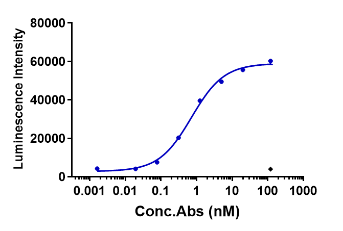 0 - Anti-CLDN6 Reference Antibody (IMAB027) APR10143