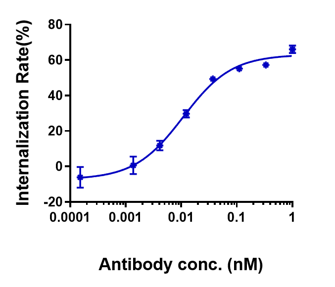 0 - Anti-CLDN6 Reference Antibody (IMAB027) APR10143