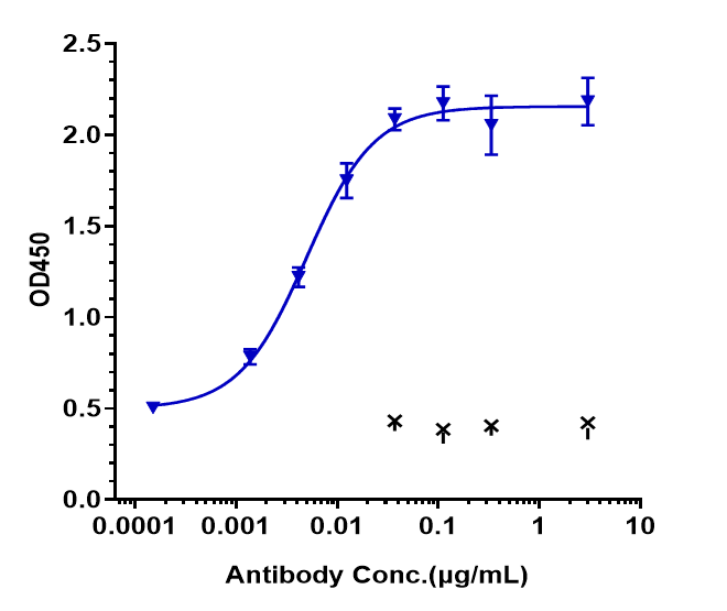 0 - Anti-FcRn (FCGRT & B2M) Reference Antibody (nipocalimab) APR10151