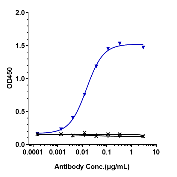 0 - Anti-IgE Reference Antibody (talizumab) APR10168