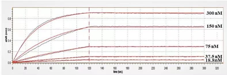 0 - Anti-BTN3A1 Reference Antibody (CTX-2026) APR10173