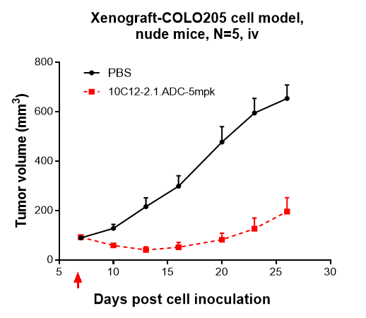 0 - Anti-CDH17 / Cadherin-17 Reference Antibody (10C12) APR10181