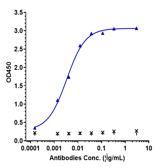 0 - Anti-IFNg Reference Antibody (AMG 811) APR10221