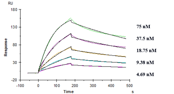 0 - Anti-TREM2 Reference Antibody (PY314) APR10232
