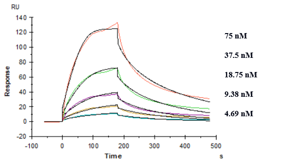 0 - Anti-TREM2 Reference Antibody (PY314) APR10232