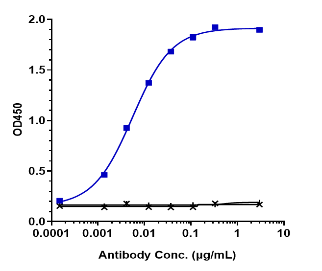 0 - Anti-NRP1 / VEGF165R / CD304 Reference Antibody (vesencumab) APR10242