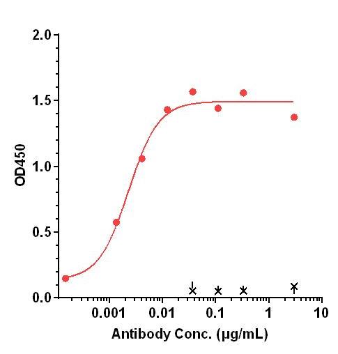 0 - Anti-CD20 / MS4A1 Reference Antibody (TRU-015) APR10305