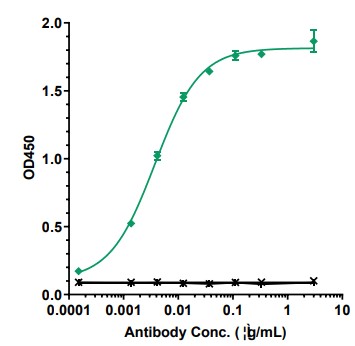 0 - Anti-TNFRSF5 / CD40 Reference Antibody (Cifurtilimab) APR10332