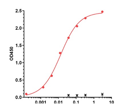 0 - Anti-HtrA1 Reference Antibody (Galegenimab) APR10346