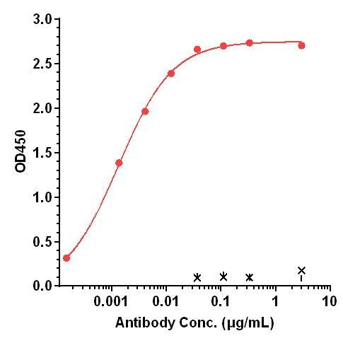 0 - Anti-CD20 / MS4A1 Reference Antibody (ocrelizumab) APR10376