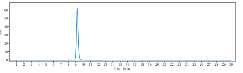 0 - Anti-DPP4 / CD26 Reference Antibody (begelomab) APR10704
