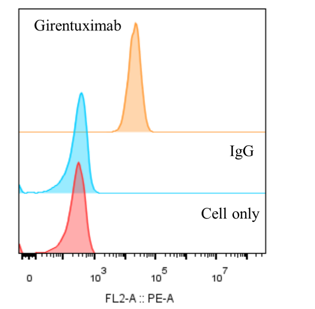 0 - Anti-CA9 / CAIX Reference Antibody (girentuximab) APR10744