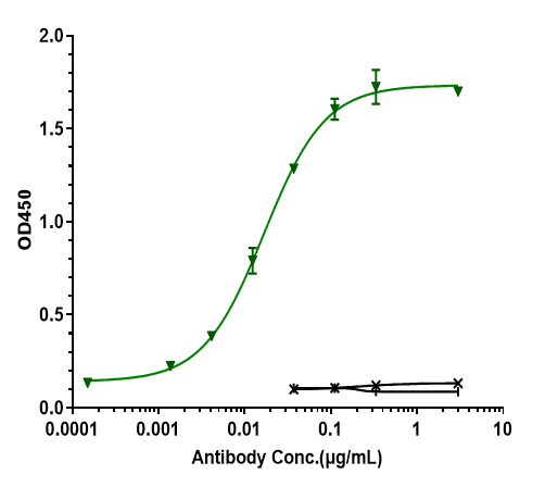 0 - Anti-CD79b Reference Antibody (Iladatuzumab vedotin) APR10819