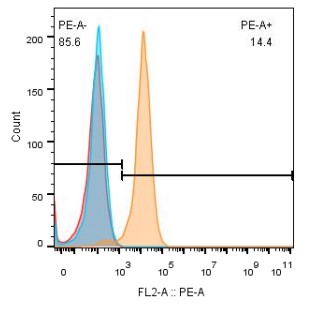 0 - Anti-Meflin Reference Antibody (Tokai U. Patent Anti-Meflin) APR10976
