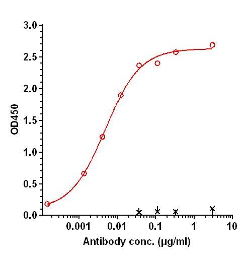 0 - Anti-RSPO1 Reference Antibody (Oncomed patent anti-RSPO1) APR11024