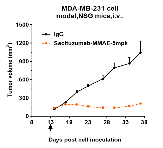 0 - Anti-TROP2 Reference Antibody (Sacituzumab-MMAE) APR11066