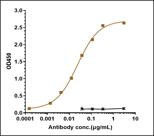 0 - Anti-Monkeypox virus/MPXV M1R Antibody (A98) APR11081