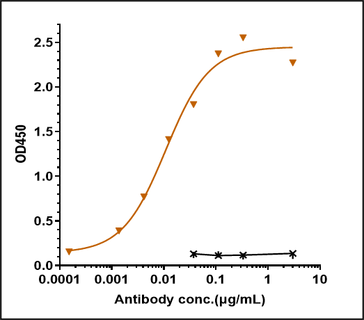 0 - Anti-Monkeypox virus/MPXV M1R Antibody (A185) APR11083