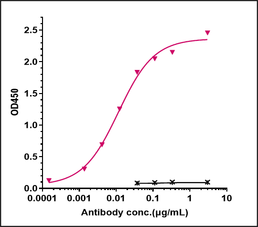 0 - Anti-Monkeypox virus/MPXV M1R Antibody (A198) APR11084