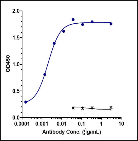 0 - Anti-Monkeypox virus/MPXV A30L Mouse Antibody (A015) APR11095
