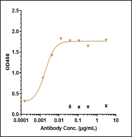 0 - Anti-Monkeypox virus/MPXV A30L Mouse Antibody (A157) APR11099