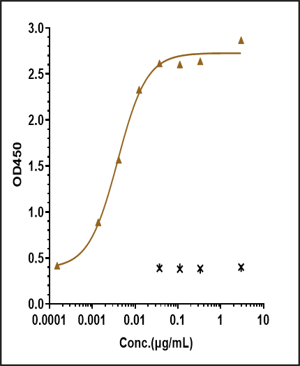 0 - Anti-Monkeypox virus/MPXV A29L Antibody (A96) APR11100