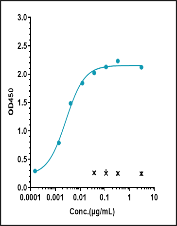0 - Anti-Monkeypox virus/MPXV A29L nanobody (A239) APR11101