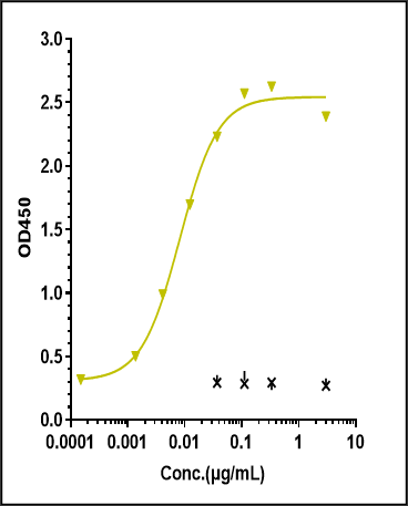 0 - Anti-Monkeypox virus/MPXV A29L nanobody (A062) APR11104